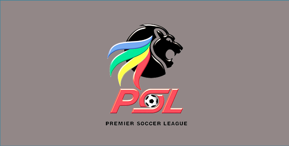 Premier Soccer League Table & Standings Football/South Africa